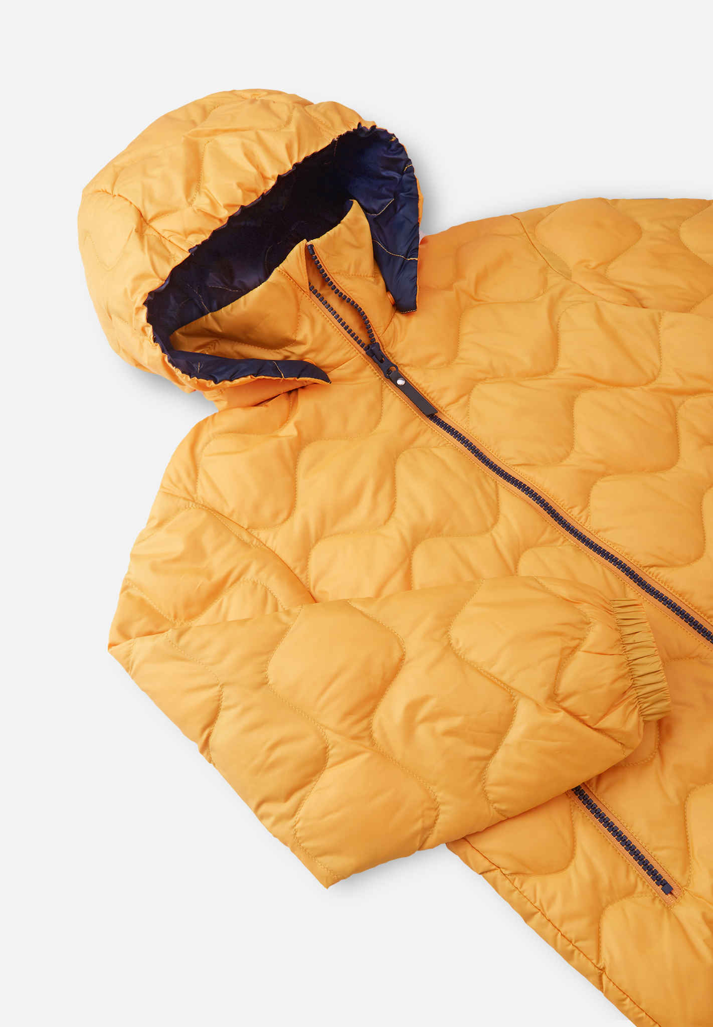 Daunenjacke Fossila